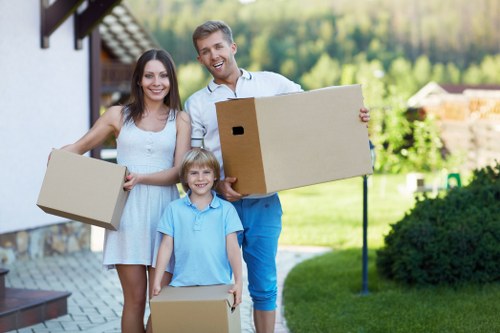 Bankside residential buildings and local conditions affecting flat removals